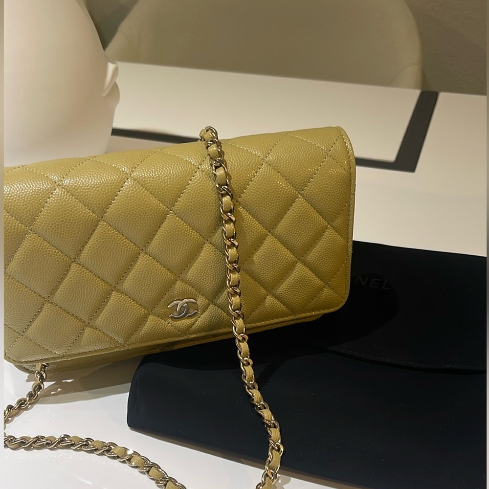 Chanel wallet on chain bag!